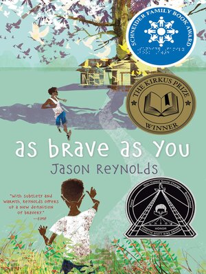 As Brave As You - ebook
